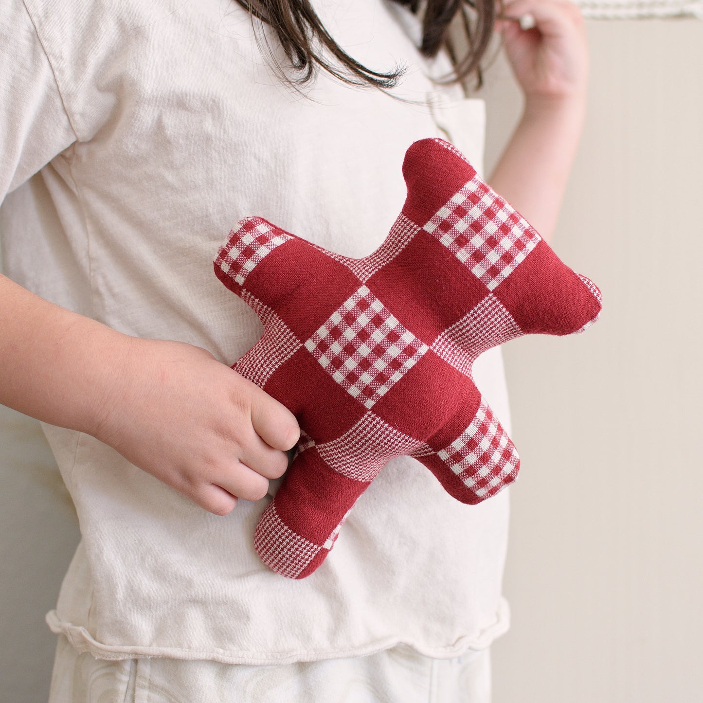 Red Bear Stuffed Buddy